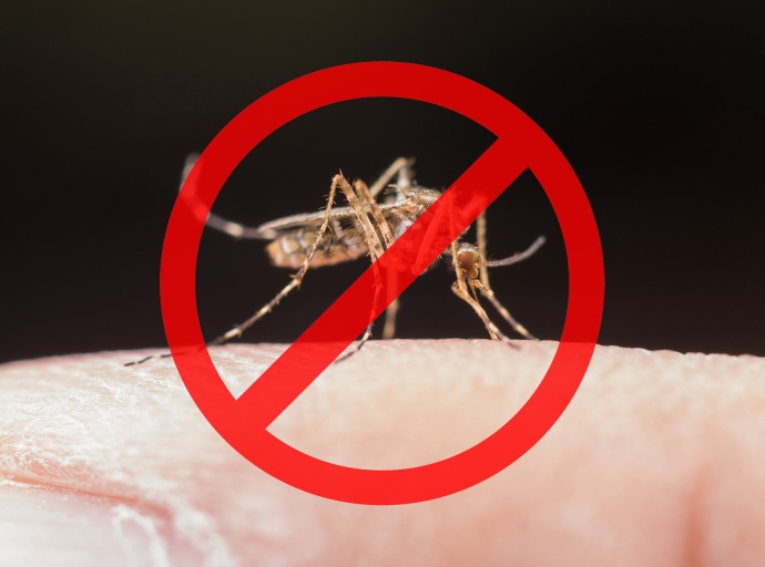 Értesítés földi szúnyoggyérítésről